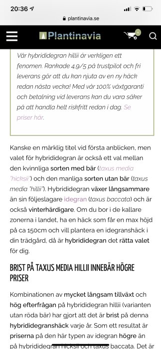 Skärmdump från sajten Plantinavia som diskuterar egenskaper hos hybrididegran Hillii och dess popularitet.