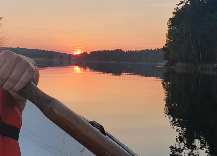 Solnedgång över en stilla sjö sedd från en båt med en person som håller i en paddel.