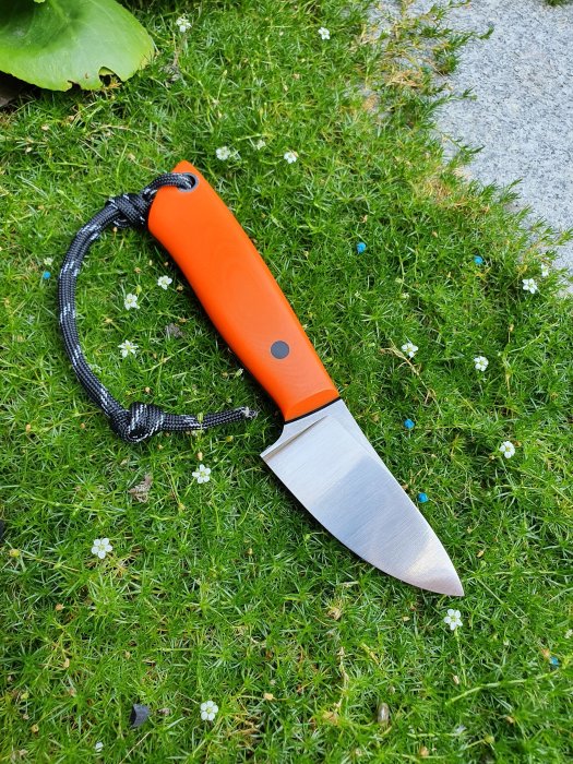 Orange jaktkniv med svart sladd på grön gräsmatta med små vita blommor.