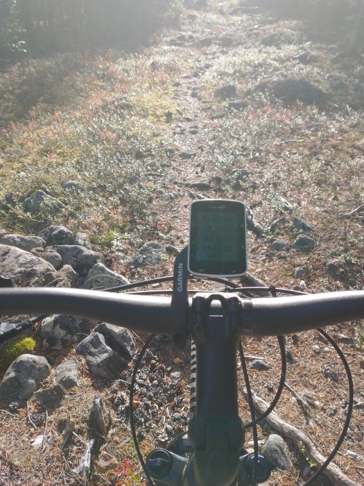 Cykelstyret med GPS-enhet framför en solig stig i skogsterräng.