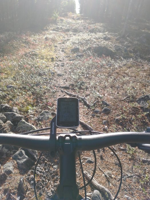 Cykelstyre med GPS-enhet mot en solbelyst skogsstig med stenar och växtlighet.