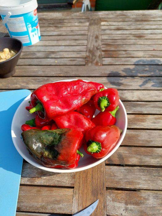 Skördade röda anchochilifrukter på en tallrik på ett träbord utomhus.