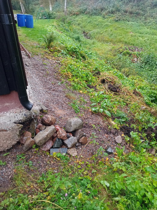 Eroderad slänt med stenar och en stupränna vid ett hus, behöver åtgärdas för avrinning.