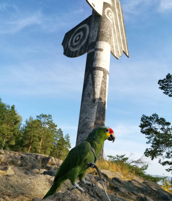 En grön papegoja framför en stor stentotempåle i en skogsomgivning.