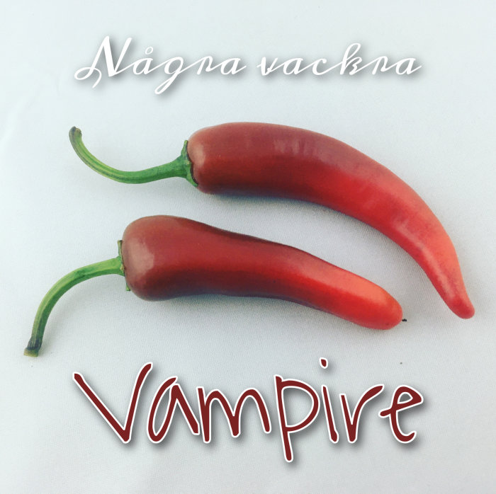 Två röda chili 'Vampire' mot vit bakgrund med texten "Några vackra Vampire".