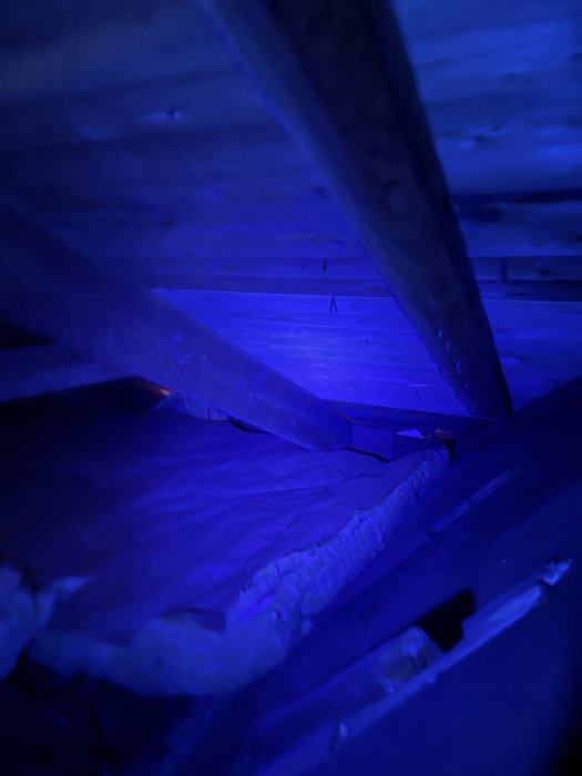 Kallvind med isolering av sågspån och stenull under blått ljus, potentiell mikrobiell påväxt på taket.