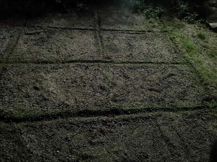 Nattbild på grusad uppfart eller gångväg med synliga gräskanter och hjulspår.