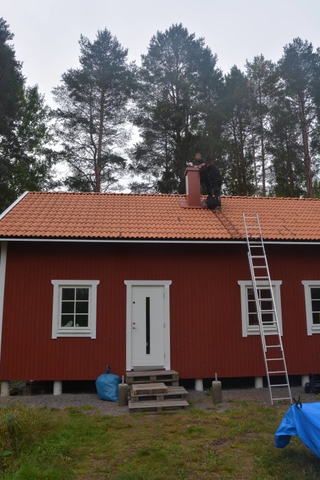 Sotare på taket vid skorstenen på en röd trävilla med skog i bakgrunden.