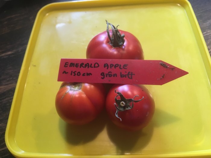Tre röda tomater på ett gult fat med en röd etikett textad "EMERALD APPLE ~150cm grön bit".