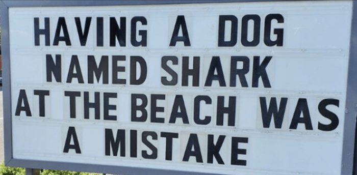 Skylt med texten "HAVING A DOG NAMED SHARK AT THE BEACH WAS A MISTAKE".