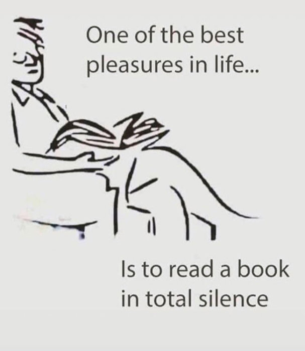 Illustration av person som läser en bok i tystnad med texten "One of the best pleasures in life... Is to read a book in total silence".