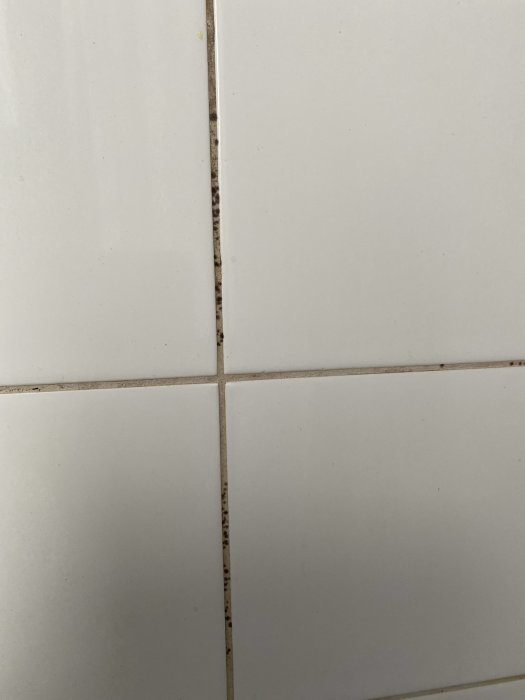 Vit kakelvägg i badrum med svarta mögelprickar längs fogarna.