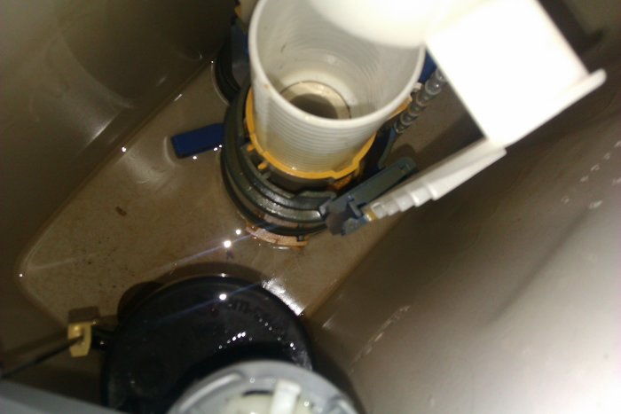 IMAG0813.jpg