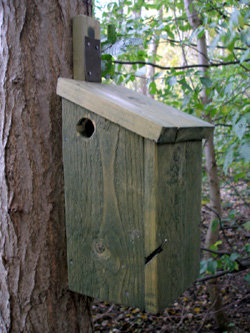 Träfärgad fågelholk monterad på trädstam med metallfäste utan spikar.