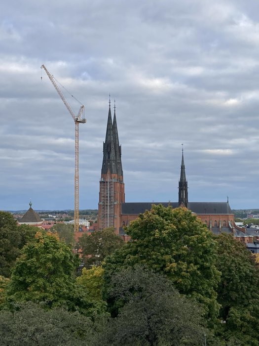 Vy över trädtoppar med en byggkran och en röd tegelkyrka med spetsiga torn i bakgrunden mot en molnig himmel.