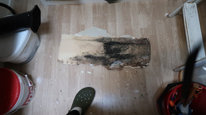 Skada på ett innertak med svarta mögelliknande fläckar, omgivet av renoveringsmaterial och verktyg på ett golv.