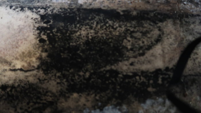 Skadat råsponttak med svarta och vita beläggningar som indikerar möjlig svartmögel och svampväxt.