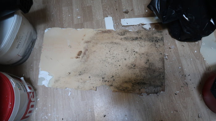 Skadat innertak med mögelfläckar på råspont synligt nära hinkar och avrivet tapetstycke på ett golv.