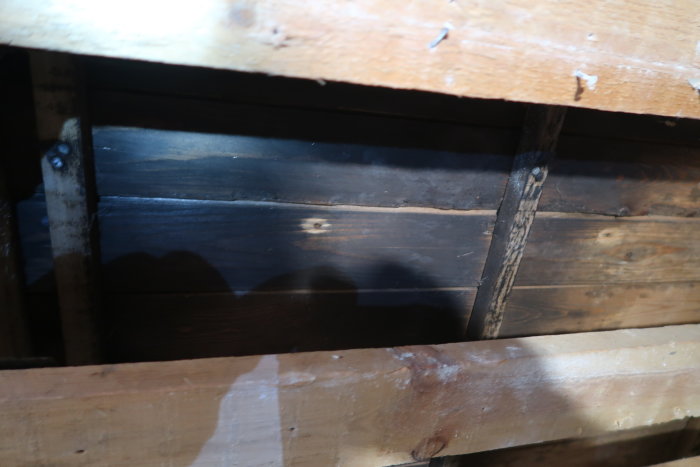 Bild av råspont i taket med mörka missfärgningar som kan vara mögel, synligt i en öppning efter rivet innertak.