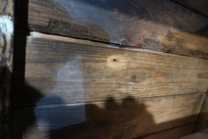 Råspont med möjliga svartmögelskador och vit svampväxt på träytan i ett hus.