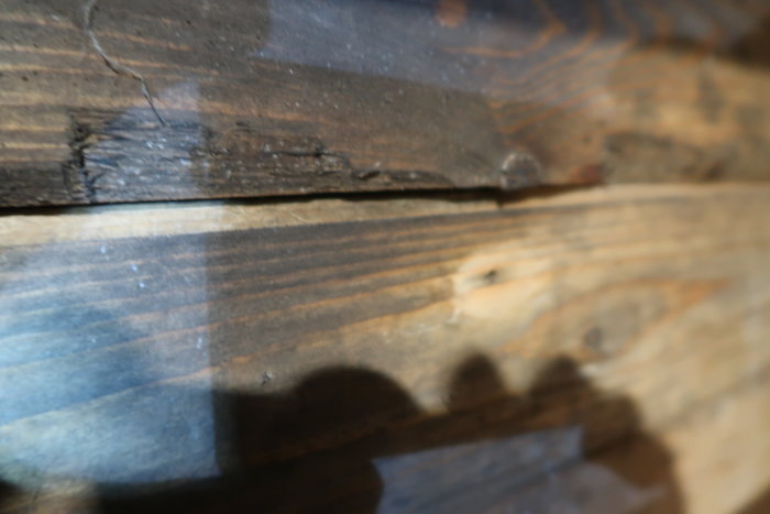 Närbild på råspont med misstänkt svartmögel och vit svampväxt, indikation på vattenskada.