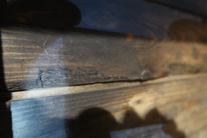 Råspont med möjlig svartmögel och vit svampväxt, vattenskada synlig.