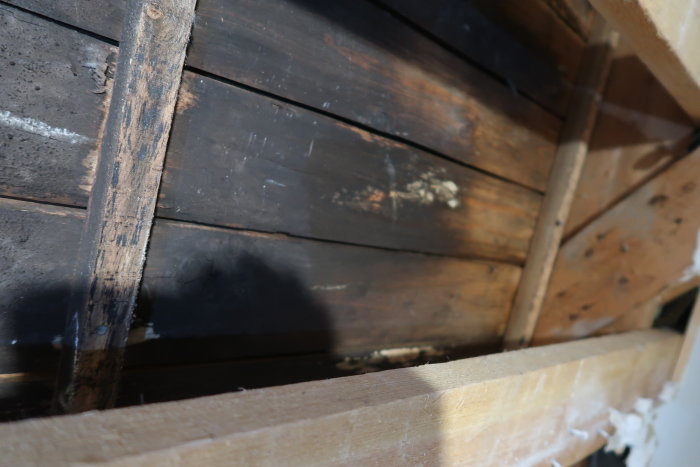 Skadat råsponttak i ett radhus med mörka fläckar som kan vara svartmögel och enstaka inslag av vit svampväxt.