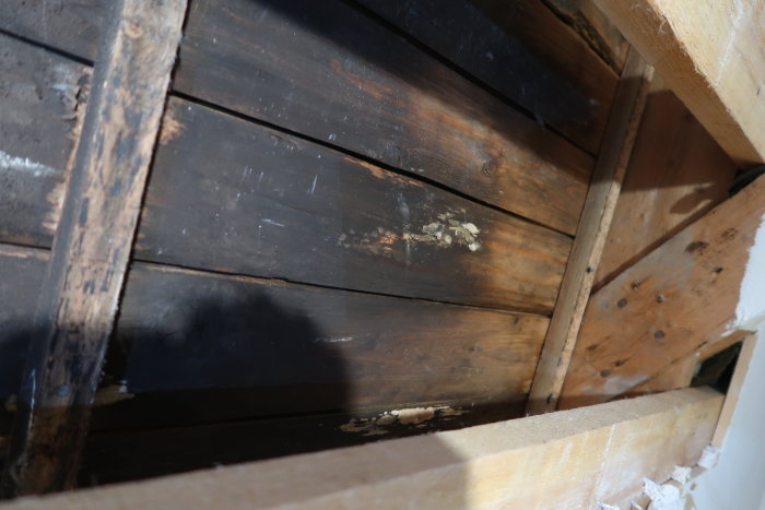 Innertak med möjlig svartmögel och vit svampväxt på råsponten efter vattenskada.