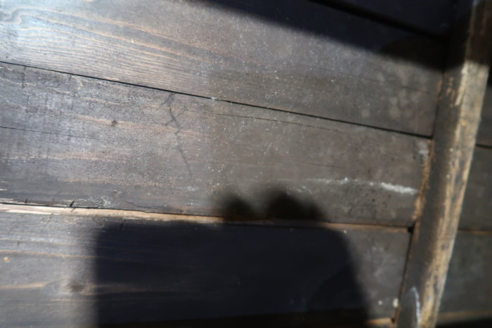 Mögelangrepp på råspont i tak med synlig svart och vit beläggning som misstänks vara svartmögel.