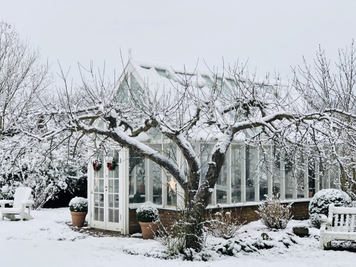 Vinterträdgård med snötäckt träd och buskar framför glasväggar och tegelsockel.