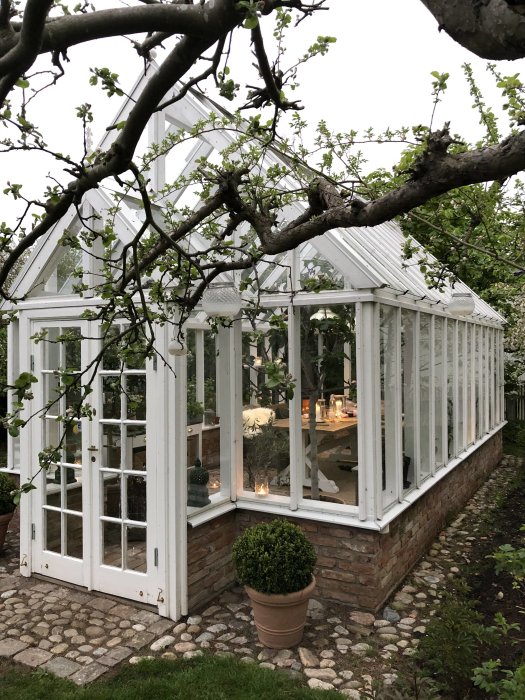 Vitt växthus med tegelsockel, belyst interiör och buxbom i kruka framför huset.