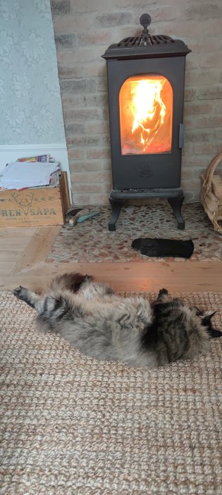 Långt hårig katt som slappnar av på mattan framför en tänd kamin.