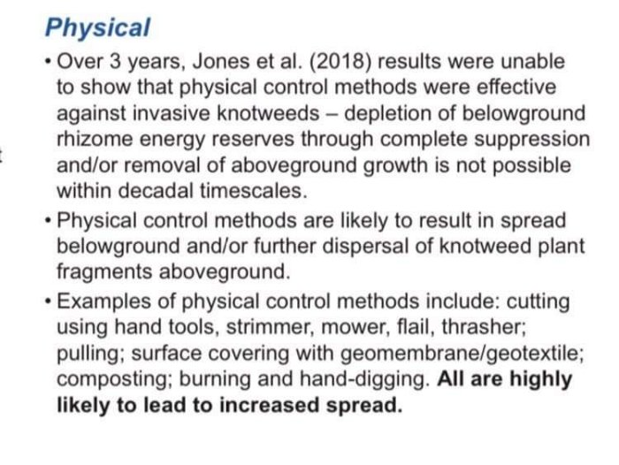 Textutdrag som beskriver ineffektiviteten av fysiska bekämpningsmetoder mot invasiva knutar, med ökad spridningsrisk.
