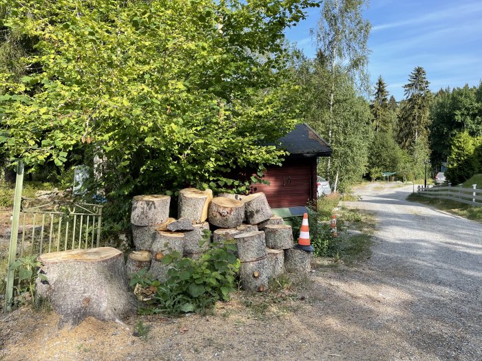 Högar av kubbade gran- och tallved vid en grusväg nära en röd stuga och grönska.