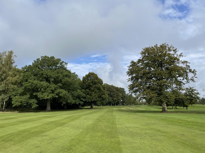 Grönt gräs på en golfbana med träd i bakgrunden och delvis molnig himmel.