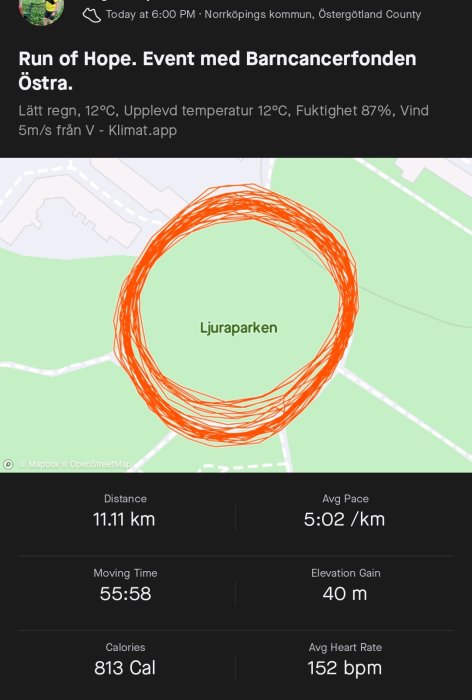 Skärmavbild av löparkarta och statistik för Run of Hope, inklusive rutt, distans, tempo och hälsodata.