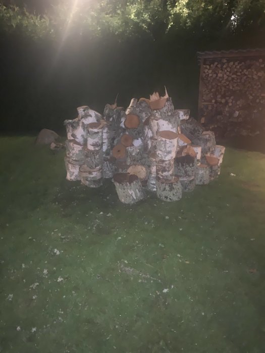 Hög med osorterad björkved på nattlig gräsmatta framför vedskjul.