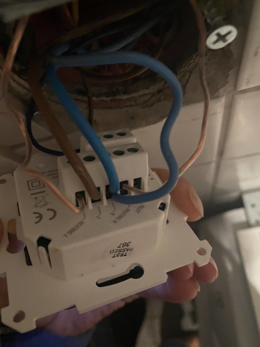Hand som håller en elektrisk installationsdos med synliga anslutna kablar mot en vägg.