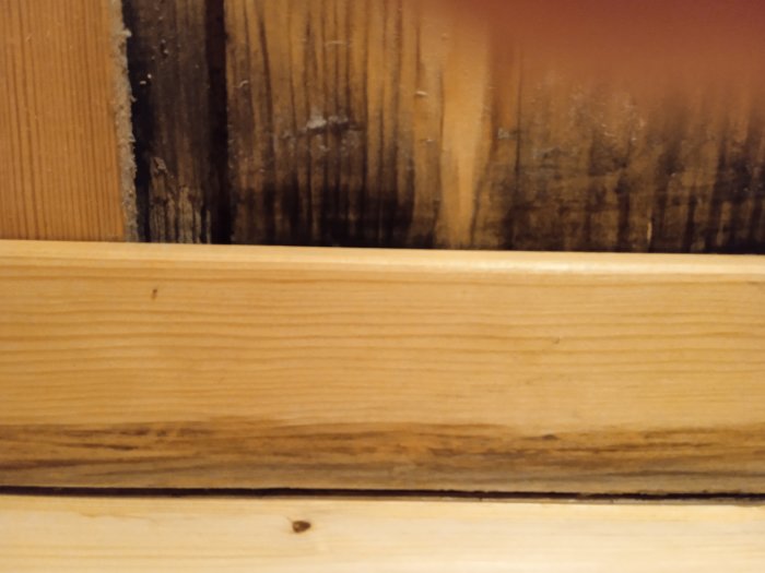 Vattenskadad träpanel med mörkare missfärgningar och tecken på mögeltillväxt under en obruten trälist.