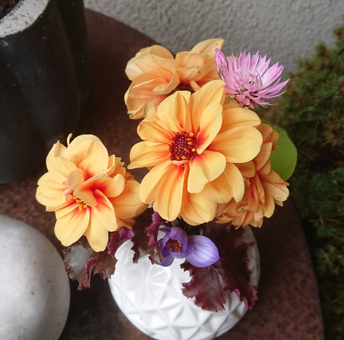 Bukett med orange dahlior, lila sideneterneller och en höstkrokus i vit vas, med en solnedgångsfärgpalett.