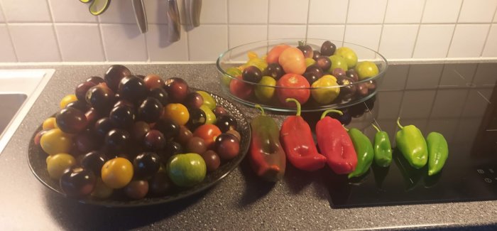 Skörd av mogna och omogna tomater samt några röda och gröna paprikor på ett köksbord.