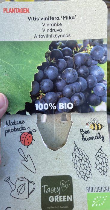 Etikett för Vitis vinifera 'Mika' druvsort från Plantagen med bild av blå druvklase och miljövänliga symboler.