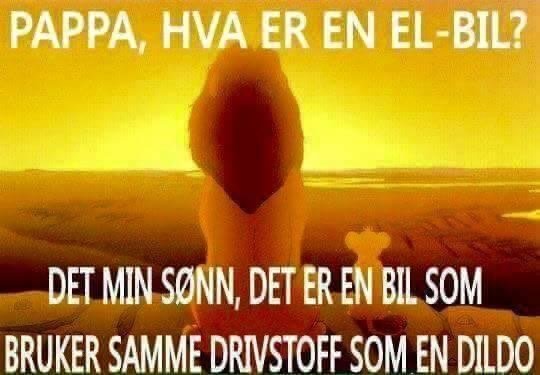 En humoristisk bild med textblåsor som parodierar en scen från Lejonkungen, där en figur liknar Simba.