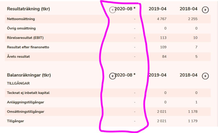 Ekonomisk rapport med markerad frånvaro av data för 2020 i resultat- och balansräkning.
