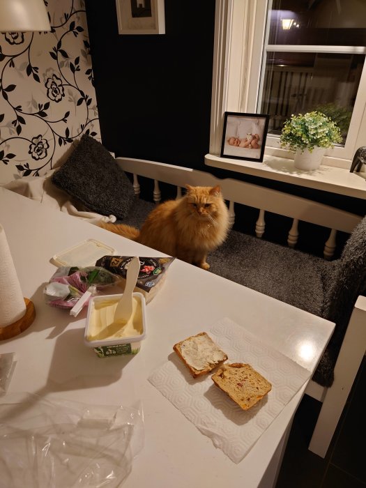 En orange katt som tittar på mackor med ost på ett köksbord, nära ett fönster med blommor.