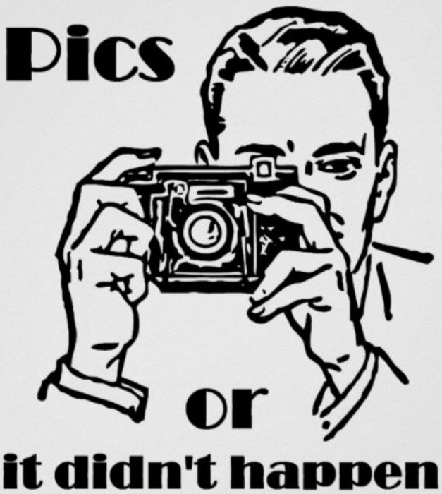 Illustration av en person som tar ett foto med texten "Pics or it didn't happen".