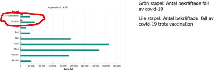 Diagram som jämför antalet bekräftade COVID-19 fall med och utan genombrutna fall över månader, med fokus på augusti och september.