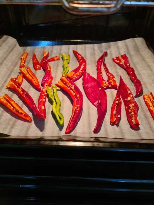 Uppskurna röda och gröna chili peppers torkas på papper i ugn.