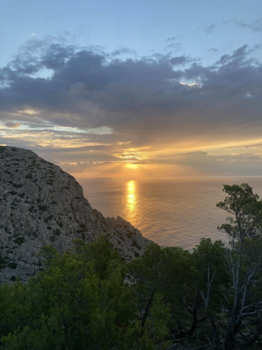 Soluppgång över havet sedd från en klippa med träd i förgrunden.