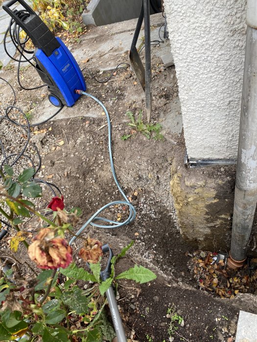 Uppgrävd källargrund med synligt tegelrör, vissnade rosor och en pump i förgrunden.